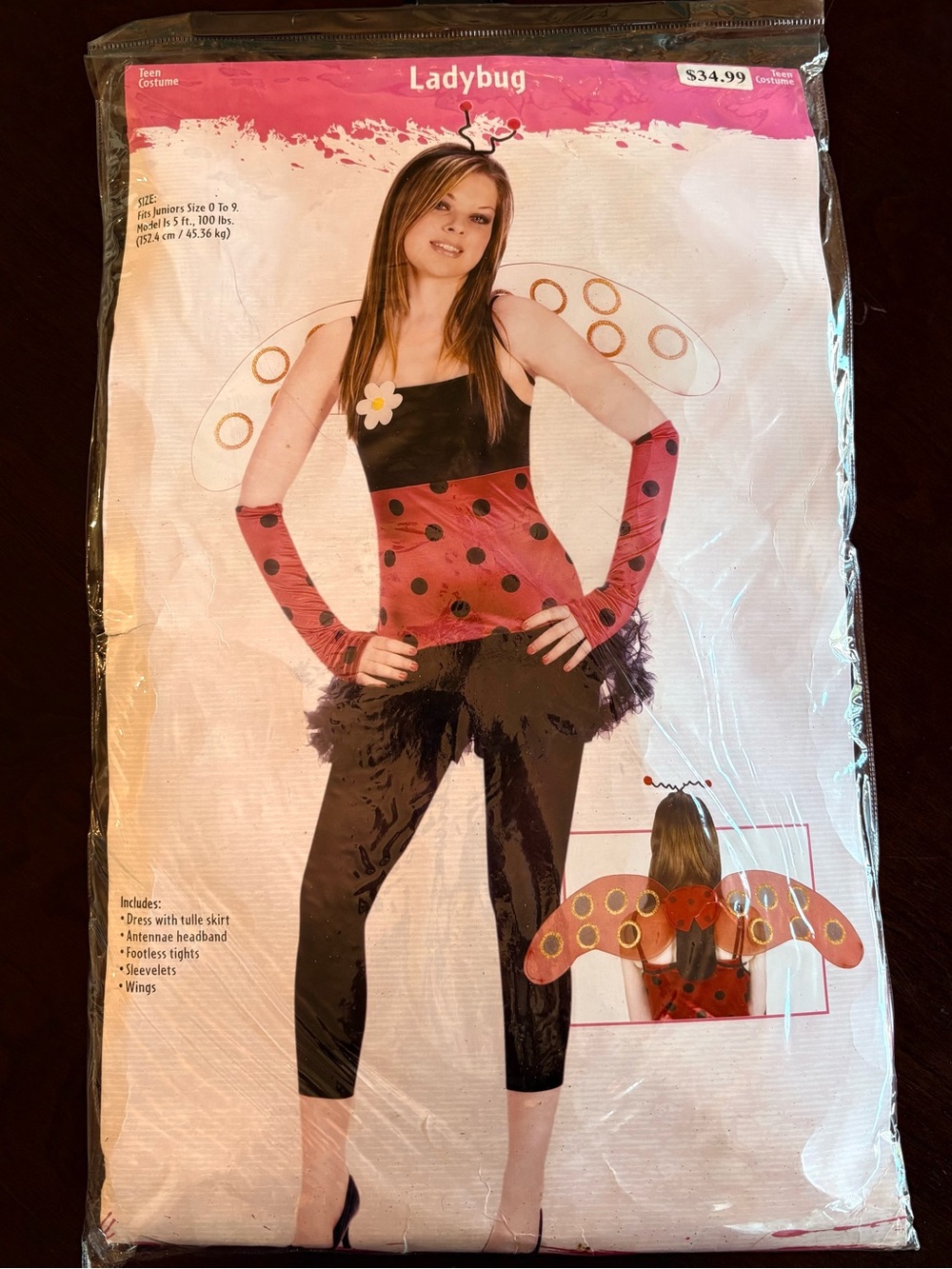 Fun World Teen Lovely Ladybug Costume